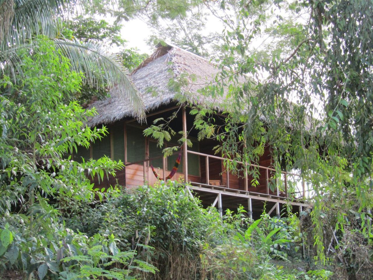 Хостел Sotupa Eco House Пуэрто-Мальдонадо Экстерьер фото